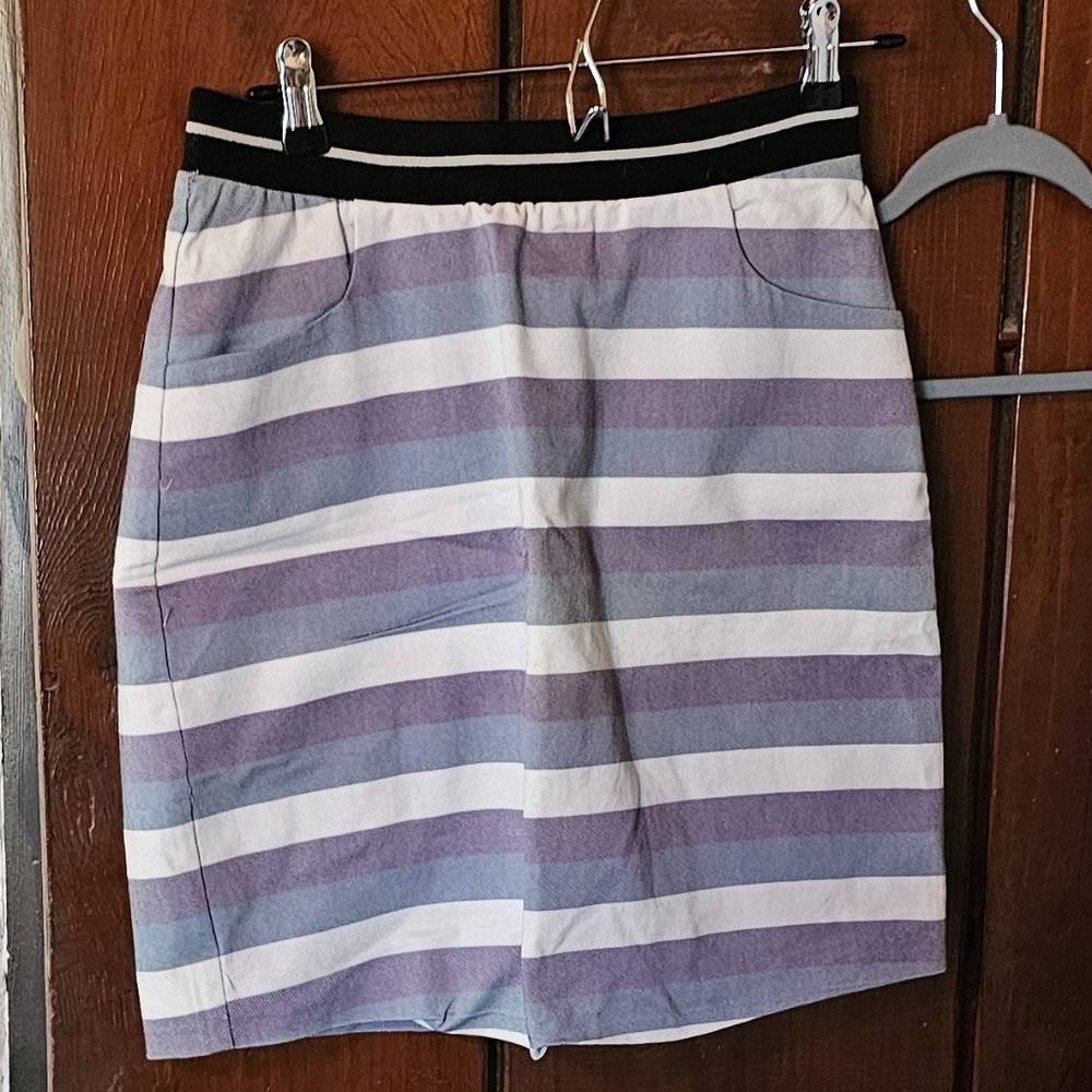 41 Hawthorn Iris striped A line midi skirt